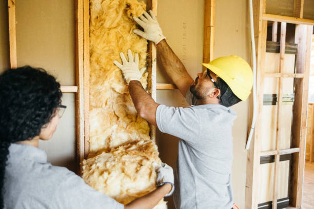 Insulation Air Sealing in Valle Vista, AZ